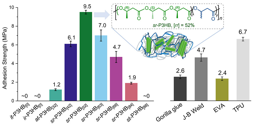 Published in Science, January 2025 graph showing Adhesion Strength (MPa)