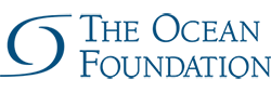The Ocean Foundation