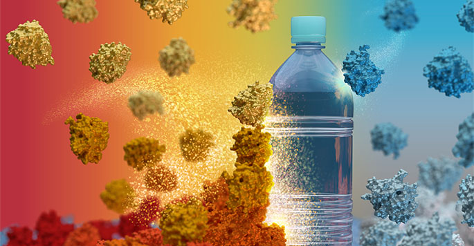 The effect of the concentration of mesophilic and thermostable enzymes on breaking down polyethylene terephthalate plastics.