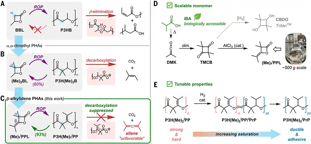 pub-science-aed3914-f1 Evolution of PHA design toward circular PHAs with near quantitative recyclability.