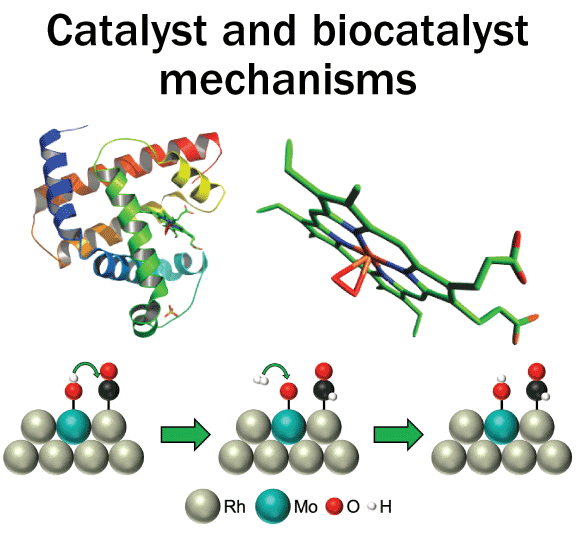 Catalyst and biocatalyst mechanisms