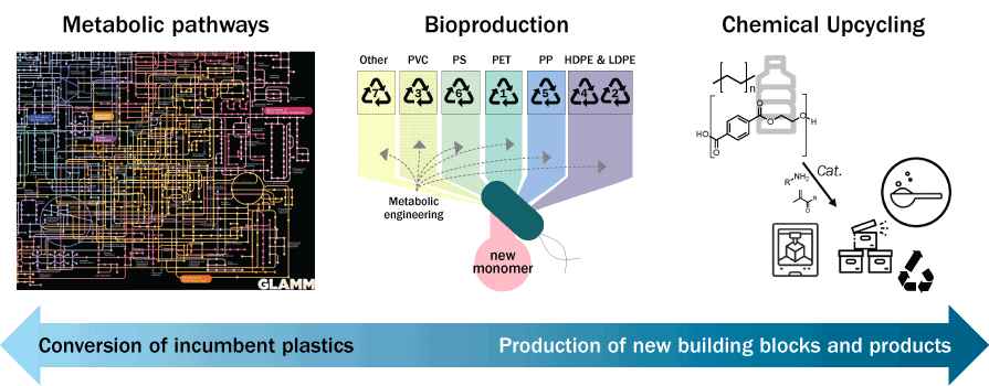 Graphic displaying conversion of incumbent plastics through Metabolic pathways. bioproduction, and chemical upcycling.